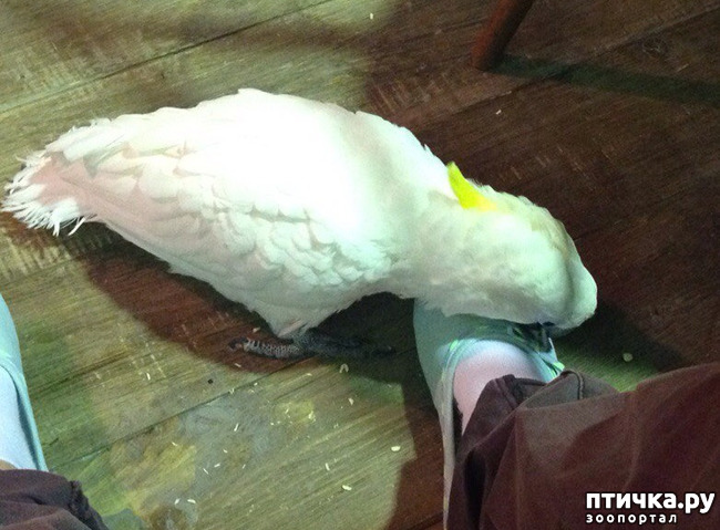 ���� 12: ����� ����� ����������� �������.