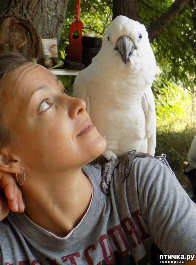 ���� 13: ����� ����� ����������� �������.