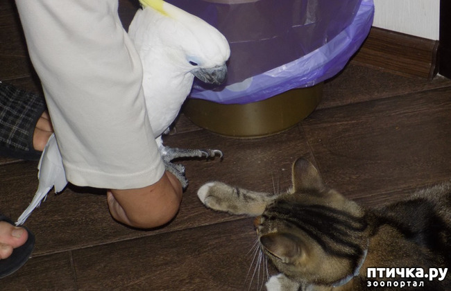 ���� 14: ����� ����� ����������� �������.