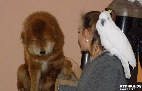 ���� 15: ����� ����� ����������� �������.