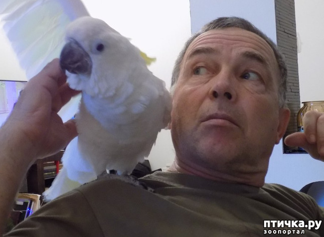 ���� 16: ����� ����� ����������� �������.