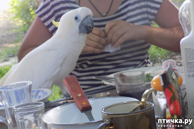 ���� 17: ����� ����� ����������� �������.