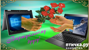 ����: ��. ������ � �����!