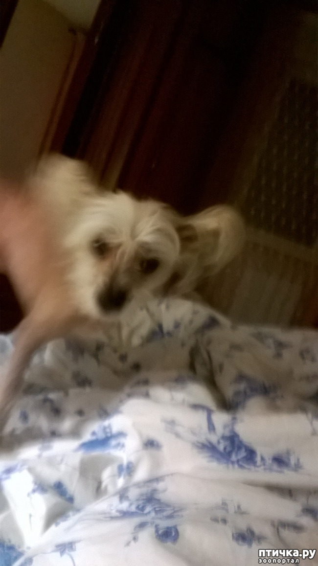 ���� 2: �������?...