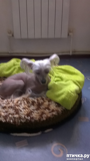 ����: �������?...