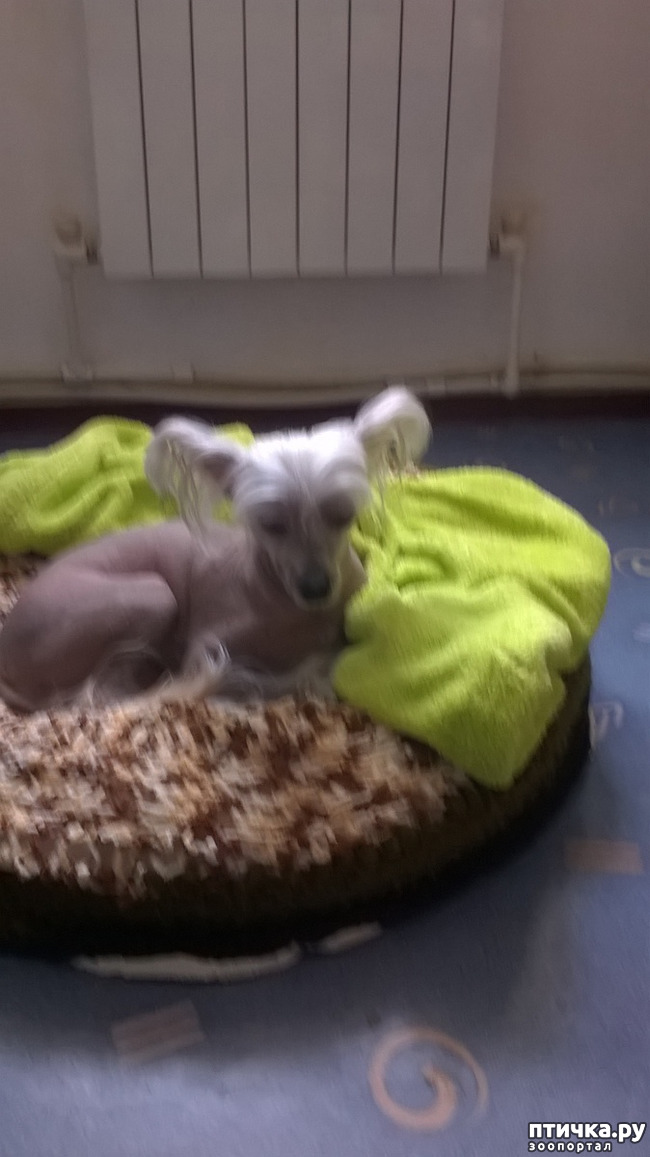 ���� 1: �������?...