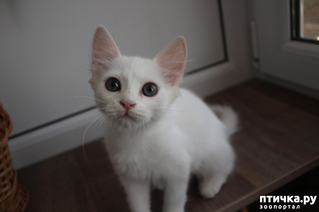 ���� 2: �������� � ������� ����