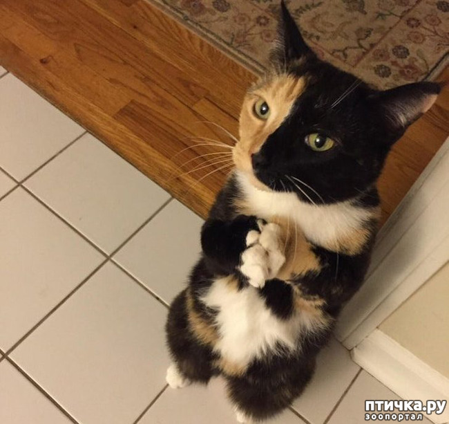 ���� 7: ��, �� ��� �����