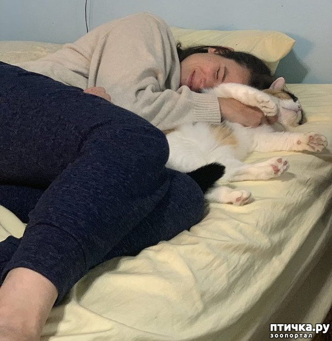 ���� 8: ��, �� ��� �����