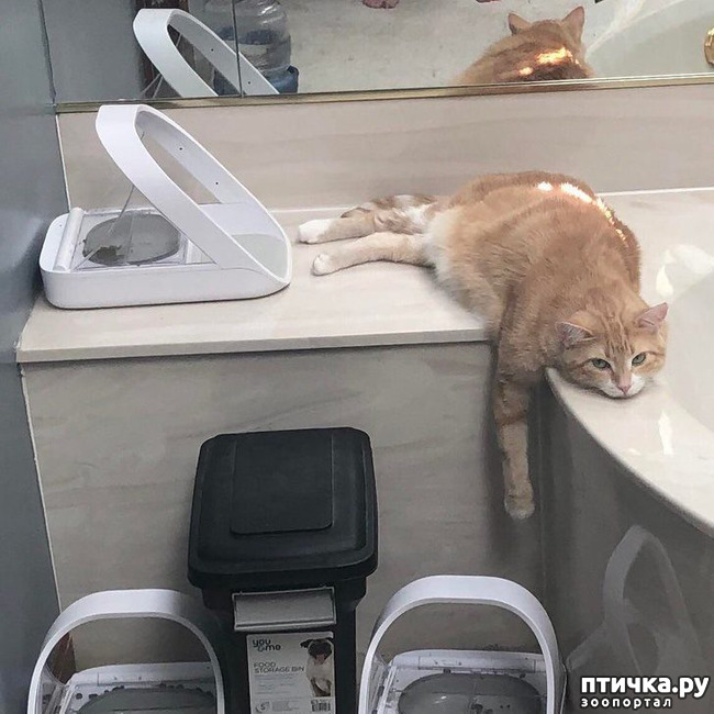 ���� 9: ��, �� ��� �����