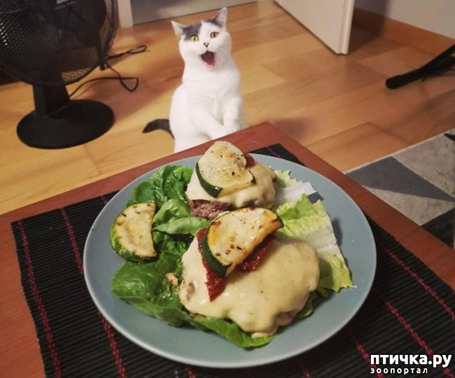 ���� 10: ��, �� ��� �����