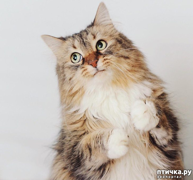 ���� 11: ��, �� ��� �����