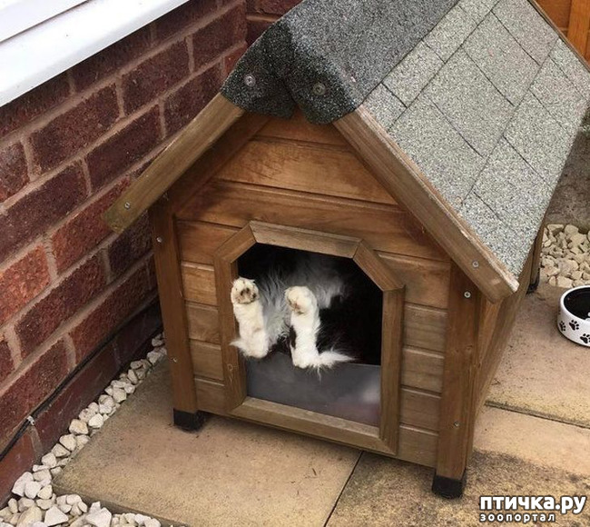 ���� 12: ��, �� ��� �����