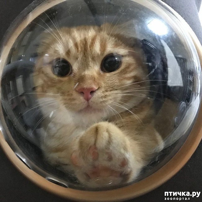 ���� 13: ��, �� ��� �����