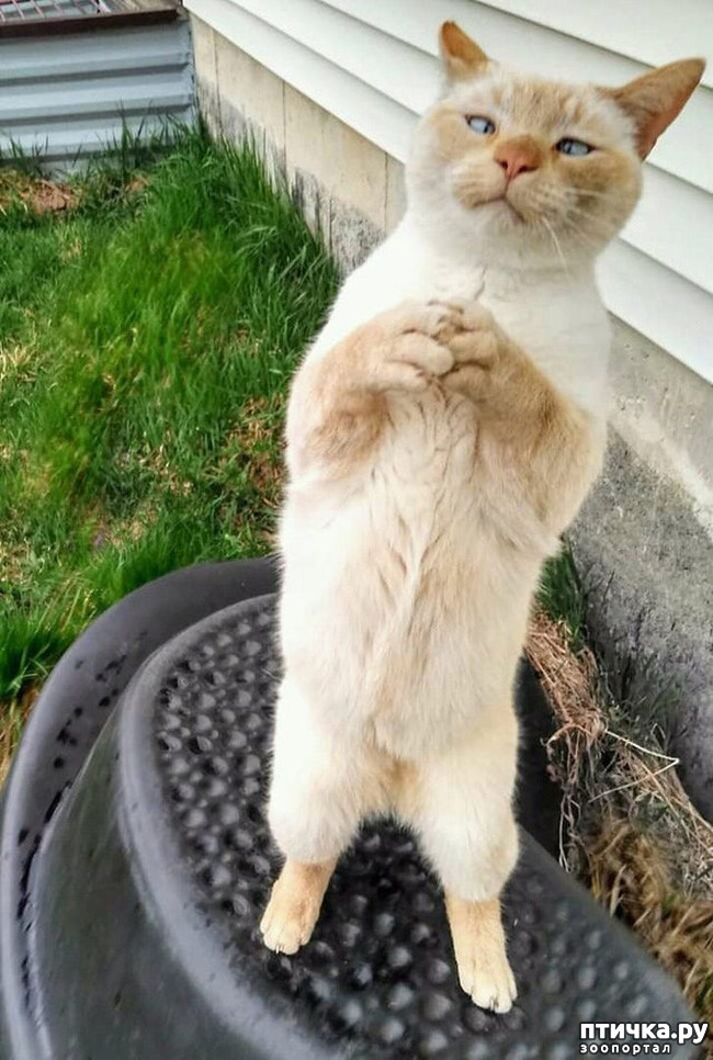 ���� 15: ��, �� ��� �����