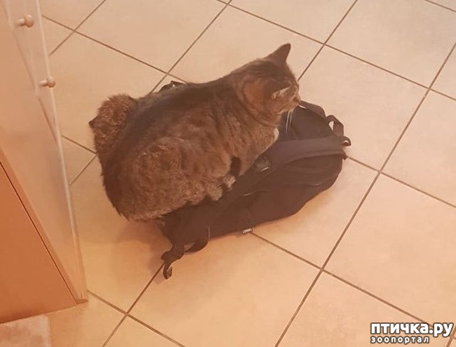 ���� 16: ��, �� ��� �����