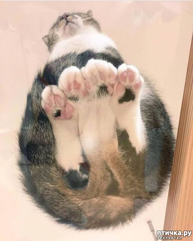 ���� 17: ��, �� ��� �����