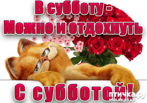 ����: �������� �������, ���, ���� ������, ��������.