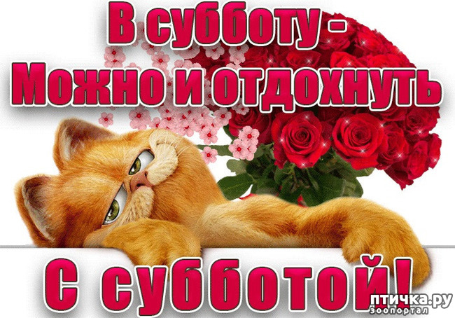 ���� 1: �������� �������, ���, ���� ������, ��������.