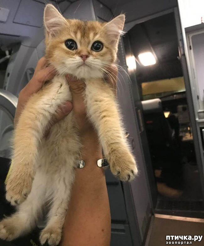 ���� 19: ��, �� ��� �����