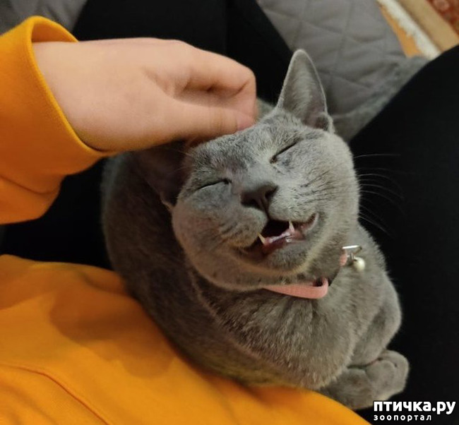 ���� 20: ��, �� ��� �����