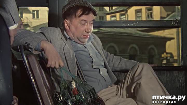 ���� 1: ���������