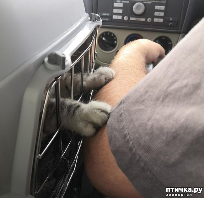 ���� 2: ��, �� ��� �����