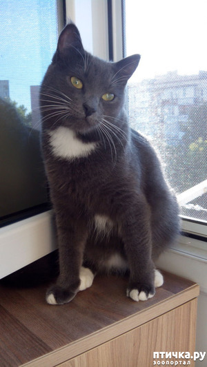 ����: �������� � ������� ����