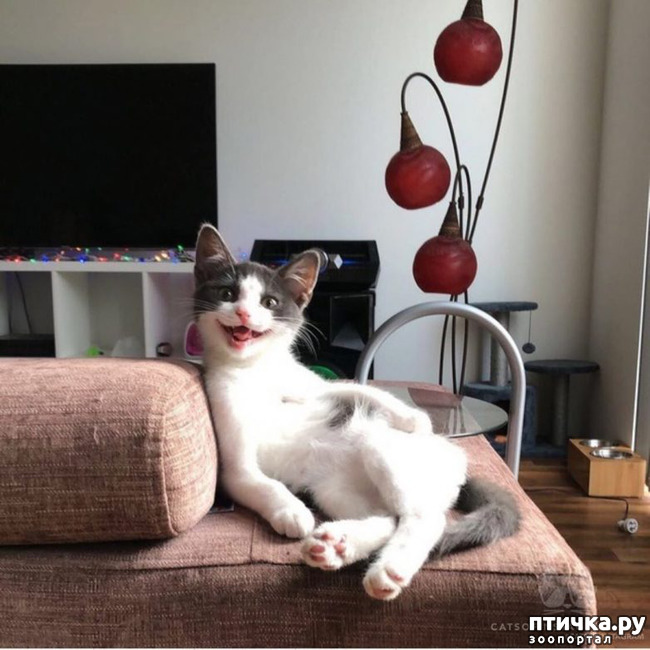 ���� 3: ��, �� ��� �����