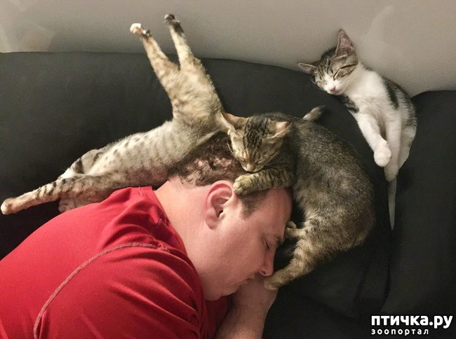 ���� 4: ��, �� ��� �����