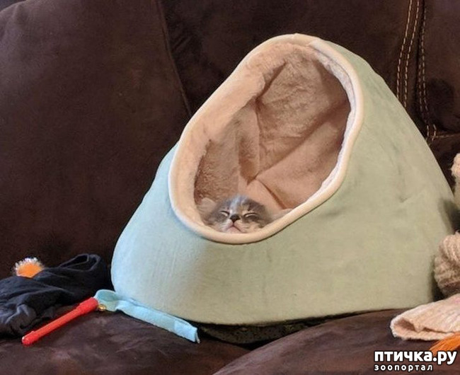 ���� 6: ��, �� ��� �����