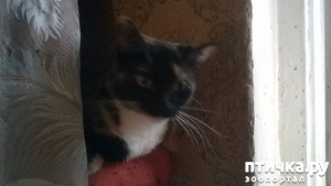 ����: �������� �����������!!!