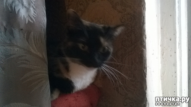 ���� 1: �������� �����������!!!