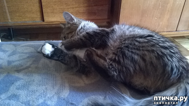 ���� 2: �������� �����������!!!