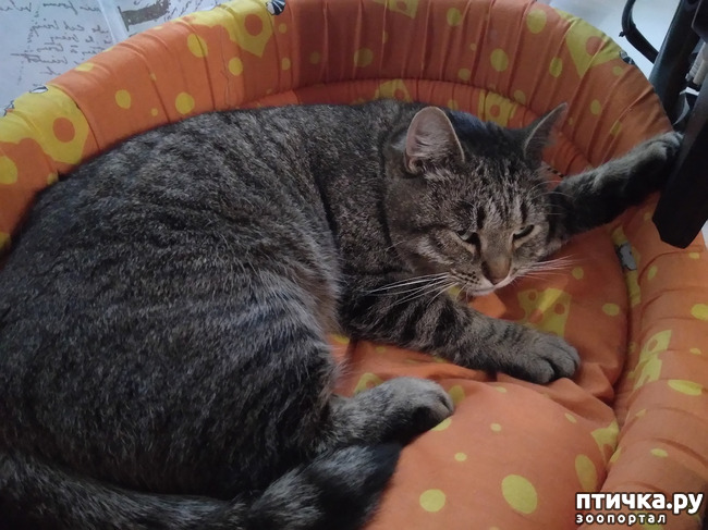 ���� 1: �����. �����. ����?