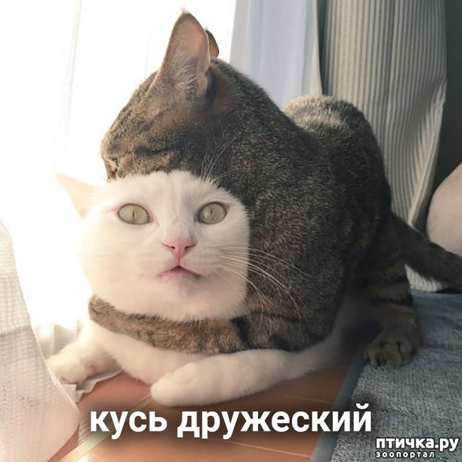 ���� 2: ����� ������ ����