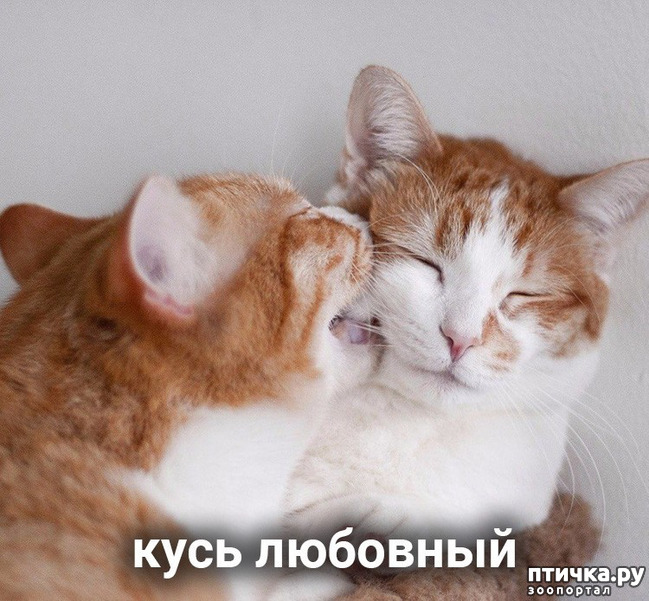 ���� 1: ����� ������ ����