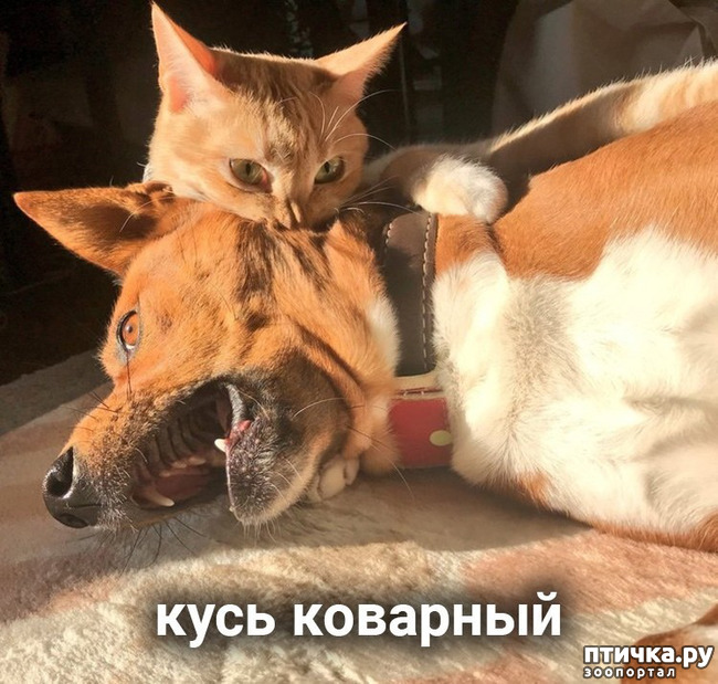 ���� 3: ����� ������ ����