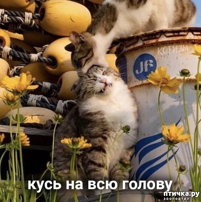 ���� 4: ����� ������ ����