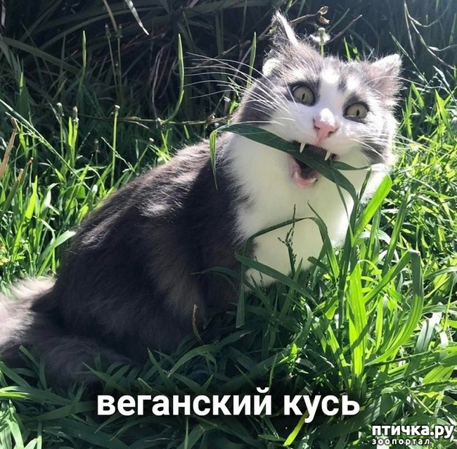 ���� 5: ����� ������ ����