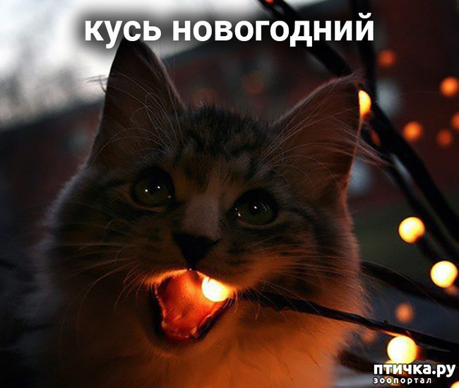 ���� 6: ����� ������ ����