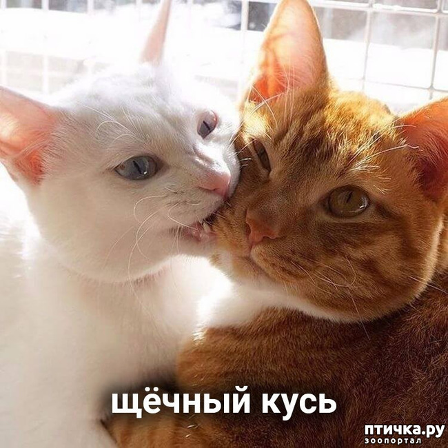 ���� 7: ����� ������ ����