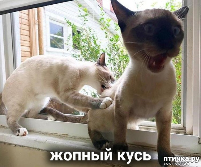 ���� 8: ����� ������ ����