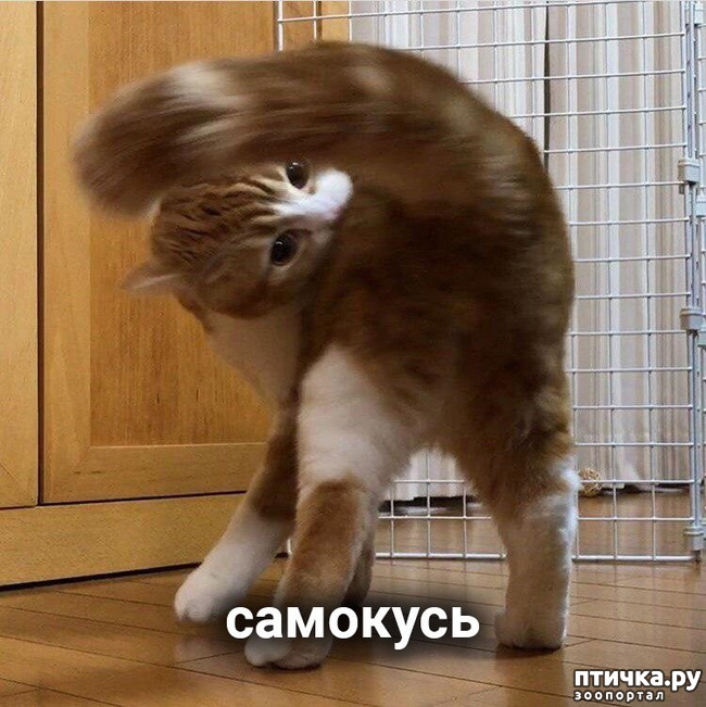 ���� 9: ����� ������ ����