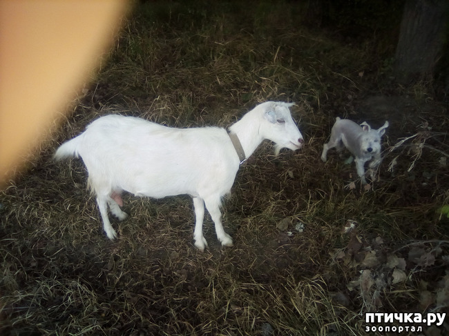 ���� 2: ������������ ��������.