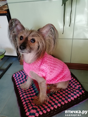 ����: ���� ��������� ����� ��������.