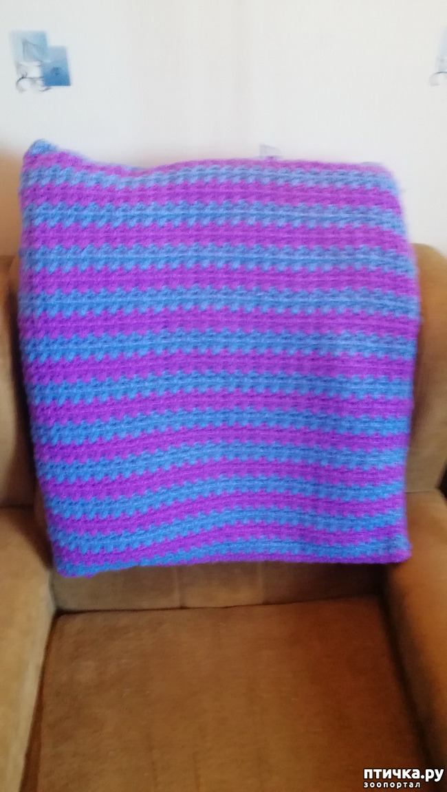 ���� 5: ���� ��������� ����� ��������.