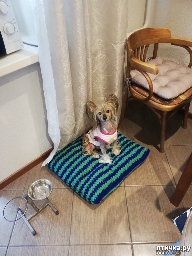 ���� 7: ���� ��������� ����� ��������.