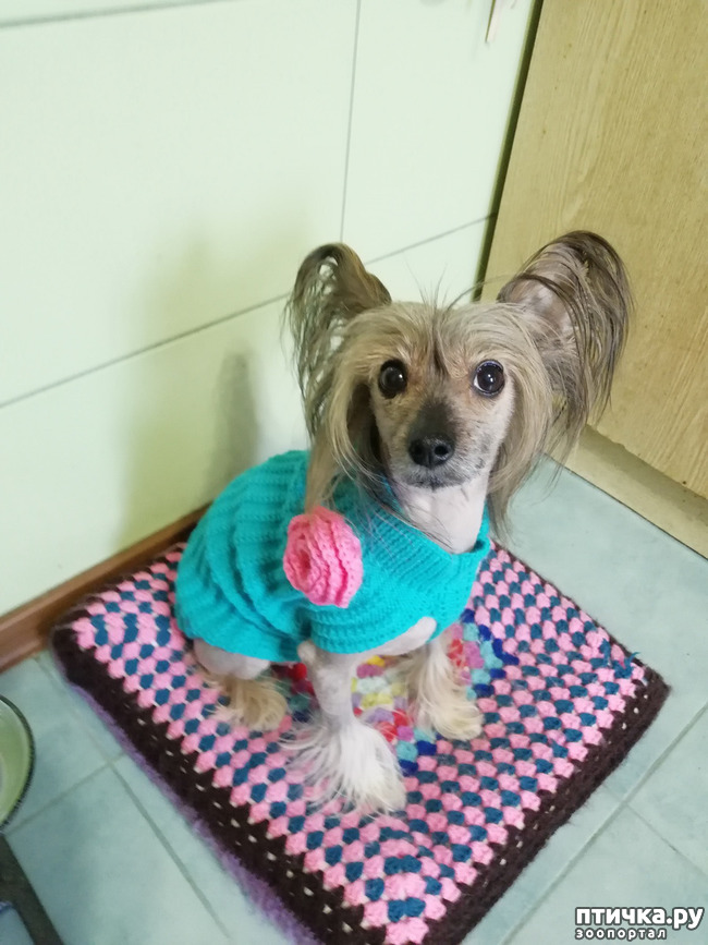 ���� 2: ���� ��������� ����� ��������.