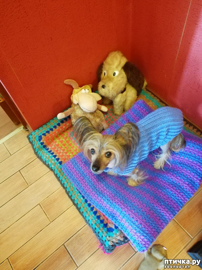 ���� 3: ���� ��������� ����� ��������.